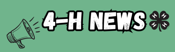 4-h news