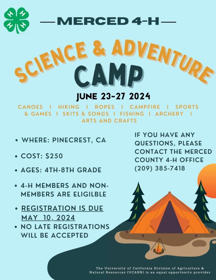 Summer Camp Flyer (2)