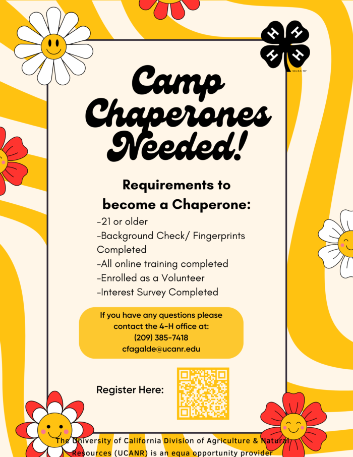 Camp Chaperone Needed Flyer