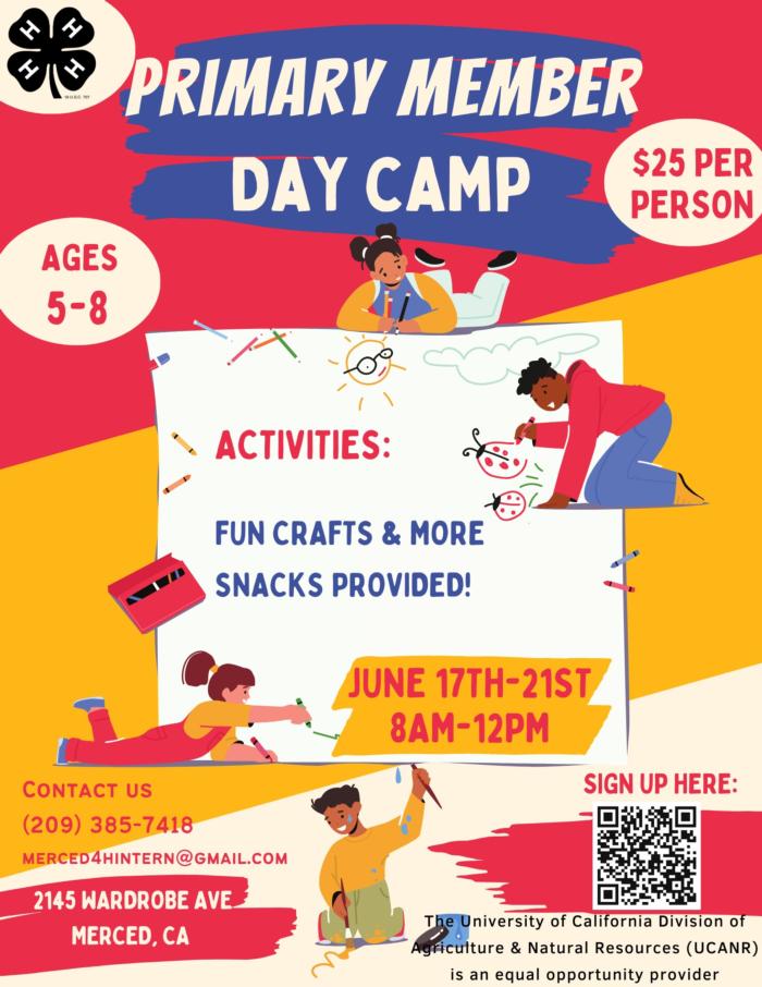 Primary Day Camp