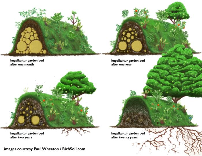 HugelkulturRaisedBed