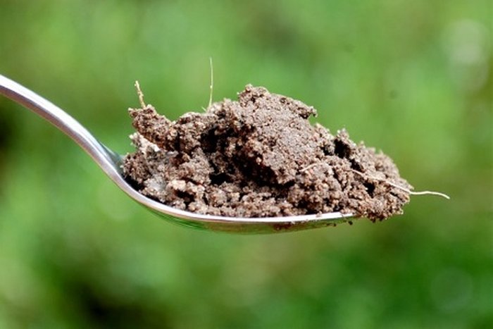 teaspoonsoil