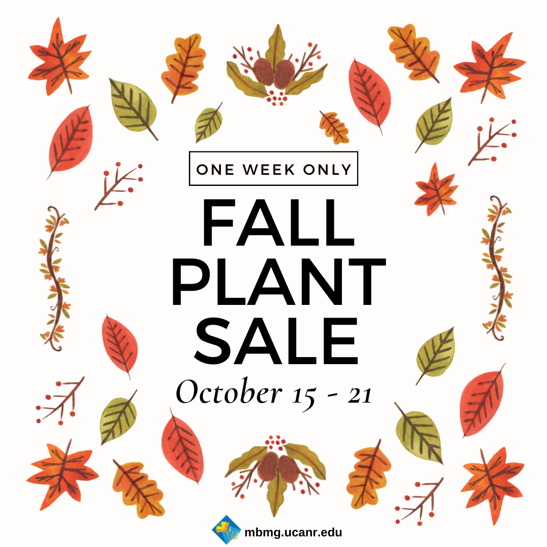 plant sale - one week only