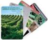 Vineyard Pest ID Cards - in English