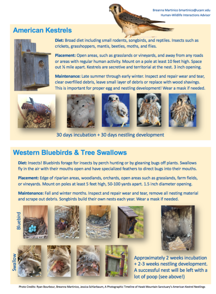 Nest box factsheet 2
