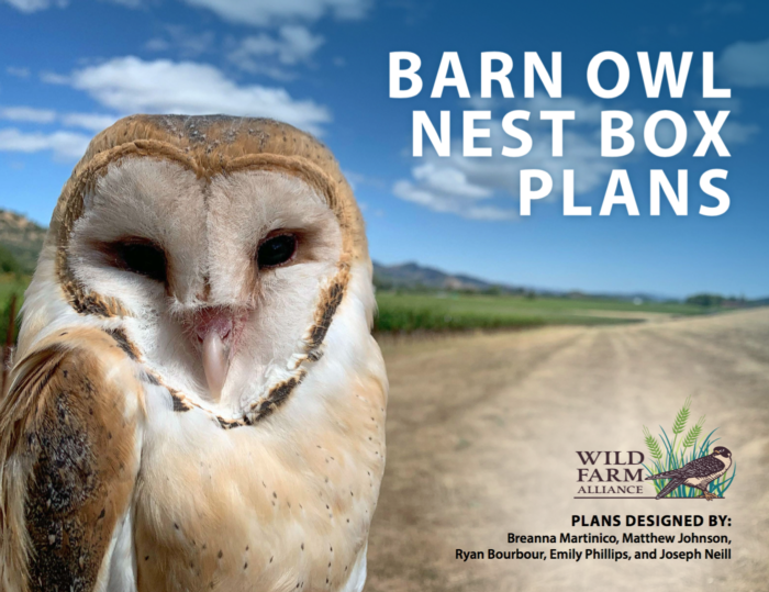 Barn Owl nest box plans