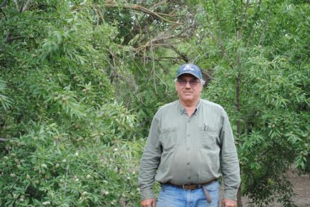 Tom Rogers in his almond orchard
