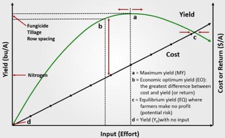 Economic optimum vs. maximum yield. From Lauer (2015).