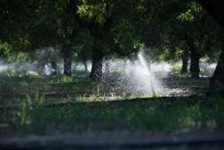Nitrate present in irrigation water is an often overlooked source of nitrogen (photo credit: USDA)