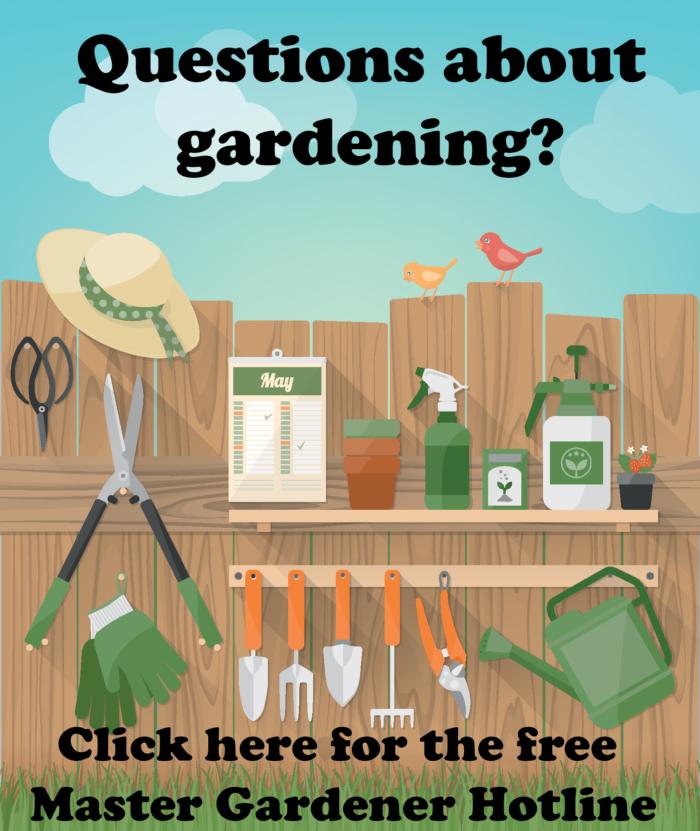 Master Gardener Hotline Link