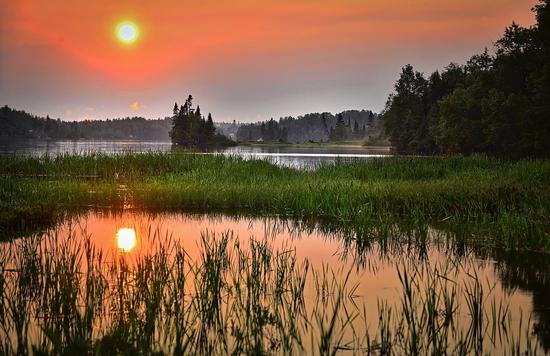 Wetlands