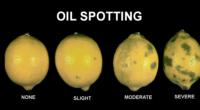 lemon_oil_spotting