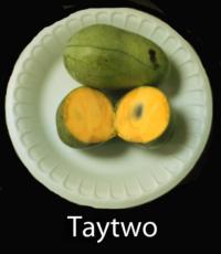 pawpaw-Taytwo