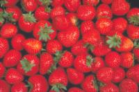 strawberry_quality