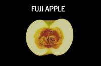 apple_fuji_core_rot732x483