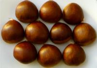 Bunch_of_chestnuts