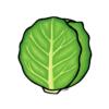 cabbage008