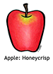Apple_Honeycrisp_english250x350