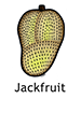 jackfruit_english250x350