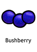 bushberry_english250x350