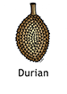 durian_english250x350
