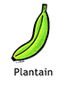 plantain_english250x350