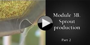 Module 3B. Sprout production part2