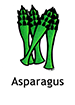 asparagus_english250x350