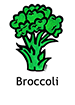 broccoli_english250x350