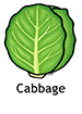 cabbage_english250x350