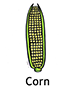 corn_english250x350