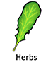 herbs_english250x350