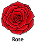 rose_english250x350