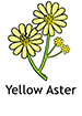 yellowaster_english250x350