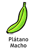 plantain_spanish250x350