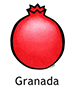 pomegranate_spanish250x350
