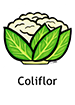 cauliflower_spanish250x350