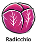 radicchio_spanish250x350