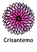 chrysanthemum_spanish250x350