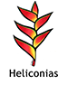 heliconia_spanish250x350