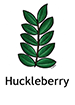 huckleberry_spanish250x350