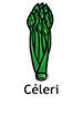 Celery_French250x350