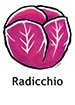 Radicchio_French250x350