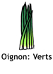 Oignon Verts