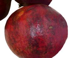 Pomegranates Husk Scald