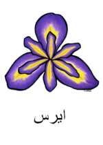 Iris Arabic
