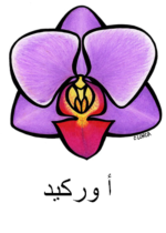 Orchid Arabic