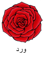 Rose Arabic