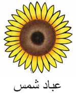 Sunflower Arabic