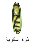 Corn Arabic